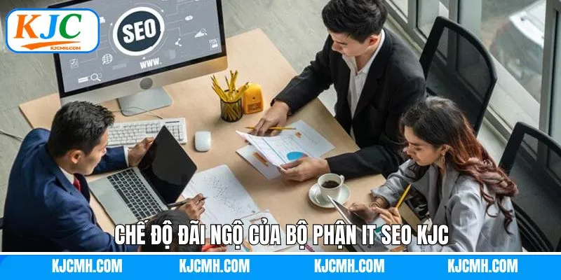 Mức lương và đãi ngộ đặc biệt của bộ phận IT SEO