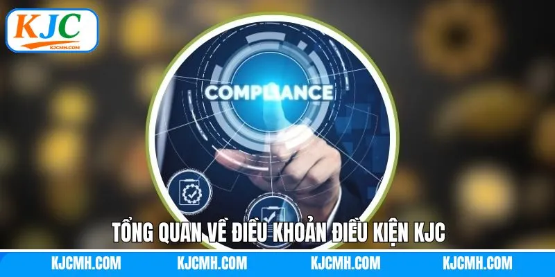 Tóm gọn định nghĩa về chính sách được quy định